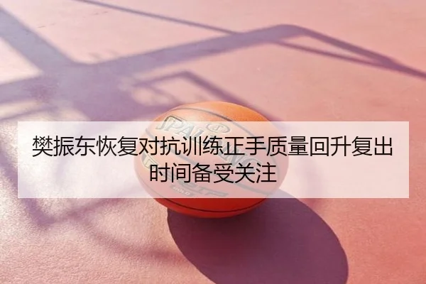 樊振东恢复对抗训练正手质量回升复出时间备受关注