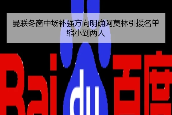 曼联冬窗中场补强方向明确阿莫林引援名单缩小到两人