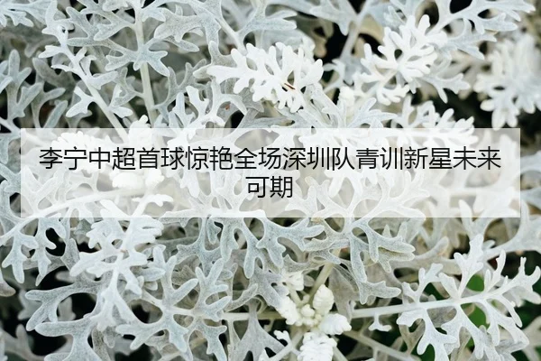 李宁中超首球惊艳全场深圳队青训新星未来可期
