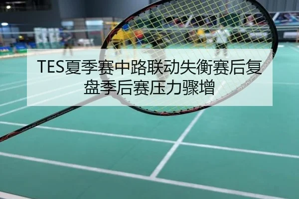 TES夏季赛中路联动失衡赛后复盘季后赛压力骤增