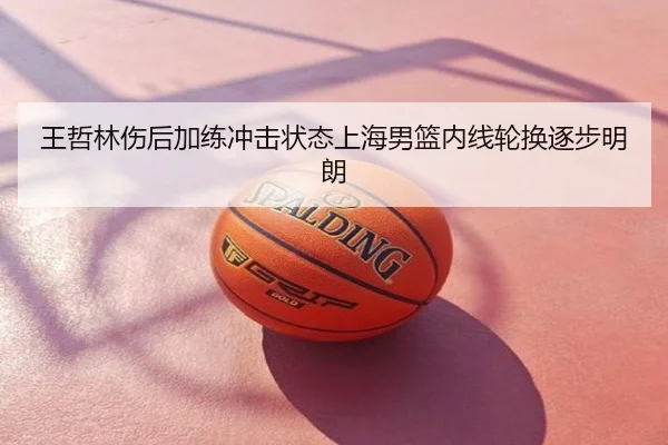王哲林伤后加练冲击状态上海男篮内线轮换逐步明朗